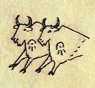 Line drawing of two buffalo